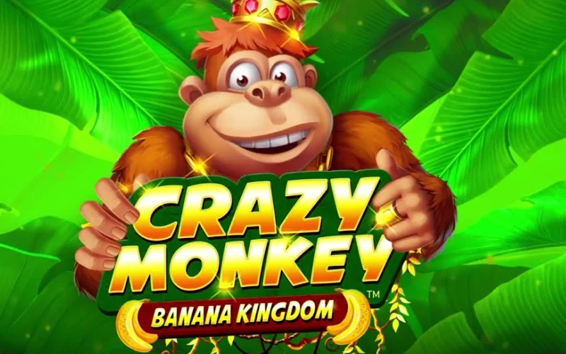 কৃক্যা অনলাইন ক্যাসিনোতে স্লট গেম বিভাগে Crazy Monkey খুঁজুন।